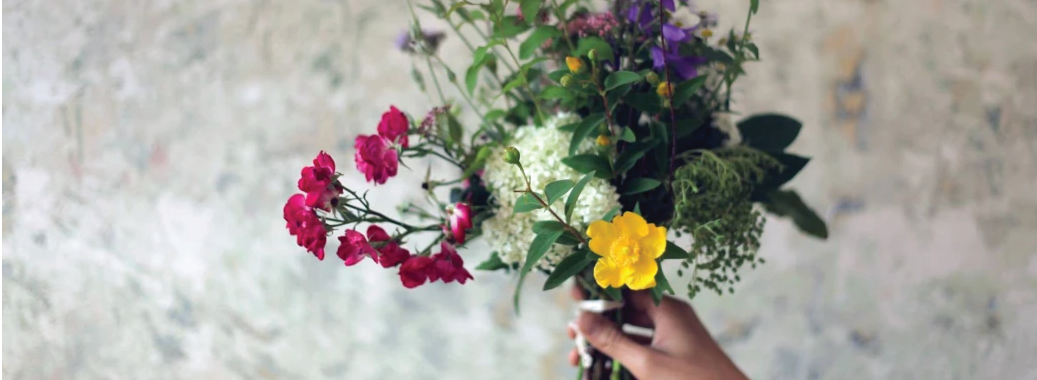 Obrázek v záhlaví