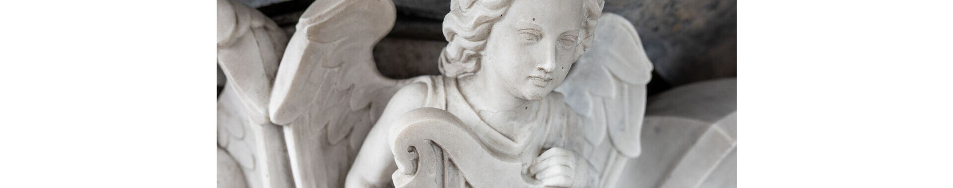 Obrázek v záhlaví