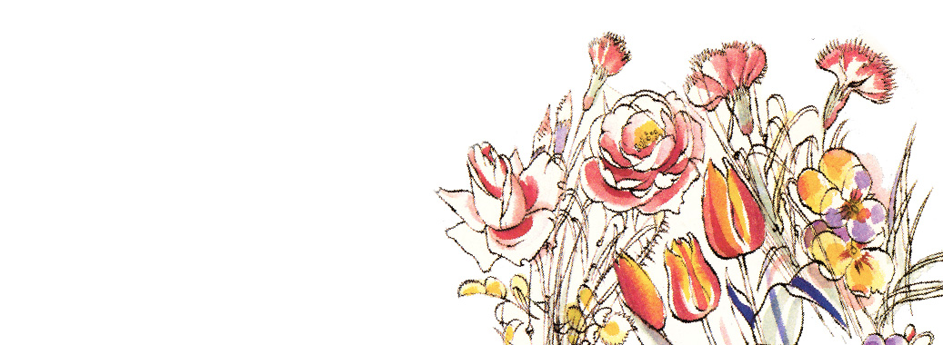 Obrázek v záhlaví