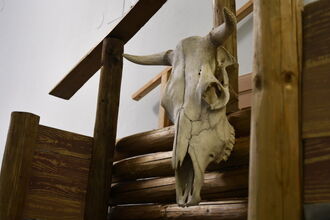 KDYŽ U NÁS ŽILI KELTOVÉ!