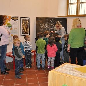 Program pro školy - O včelách a lidech 