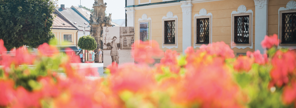 Obrázek v záhlaví