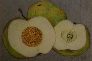 Bílý koníček - O habánech