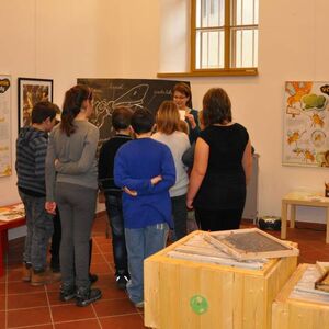 Program pro školy - O VČELÁCH A LIDECH ZŠ Jedlová