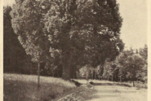 /Březiny- Poličsko/